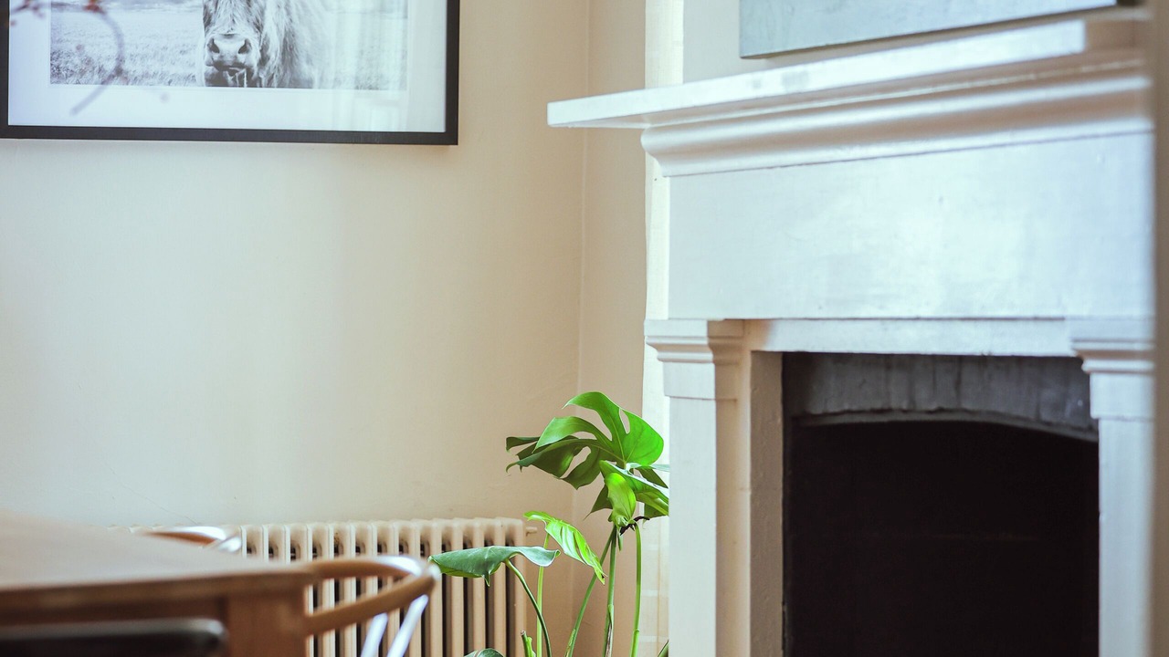 Photo of Others in Kingston