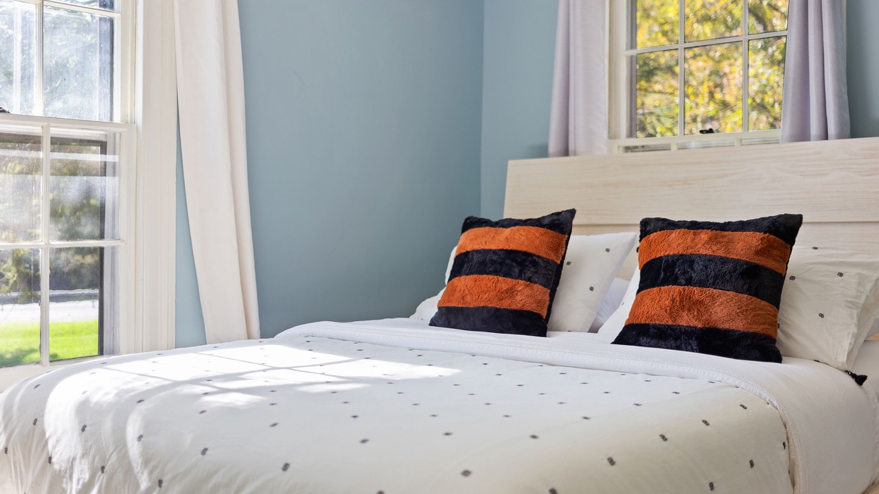 Photo of Others in Kingston