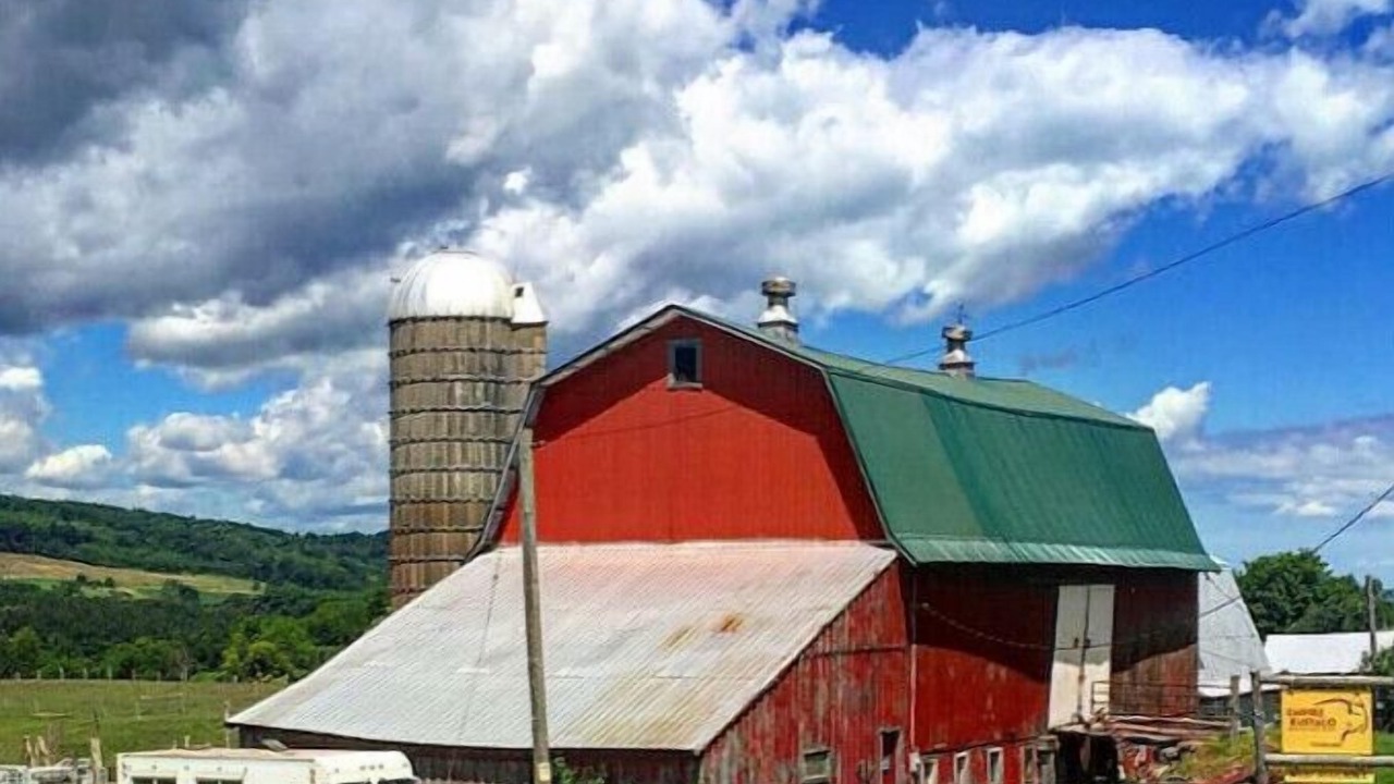 Photo of Outdoor in Chittenango