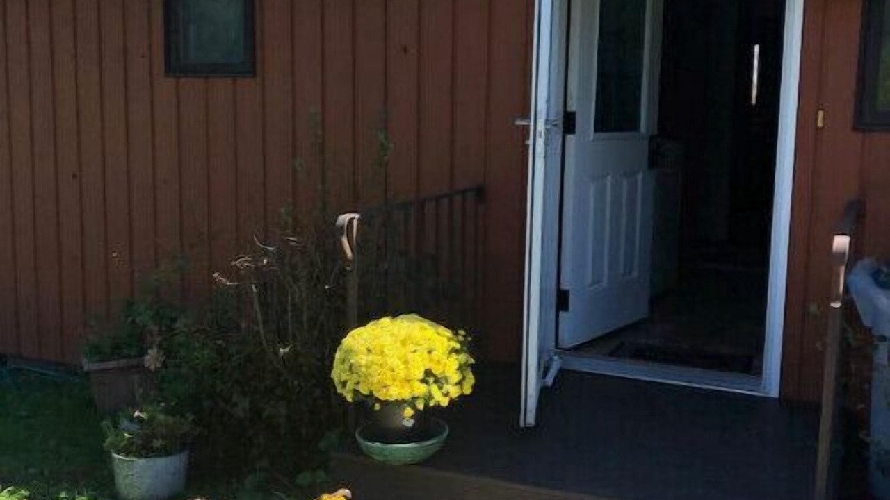 Photo of Outdoor in Chittenango