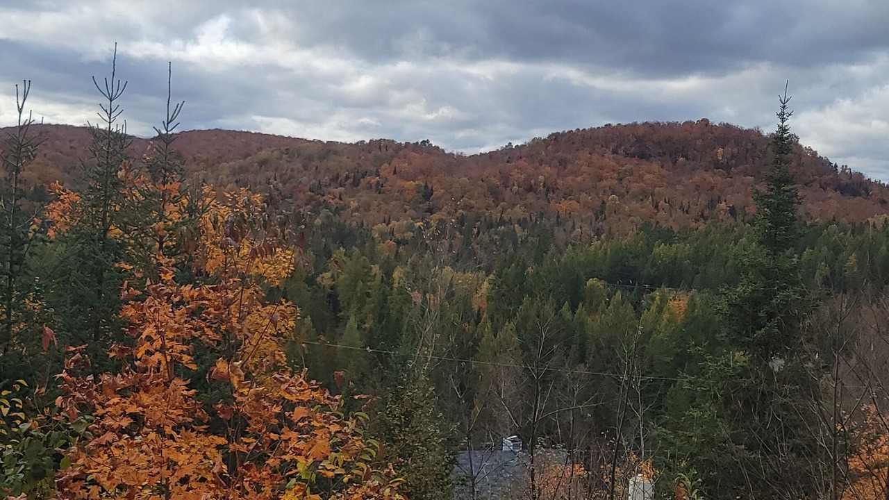 Photo of Others in Sainte-Marguerite-du-Lac-Masson