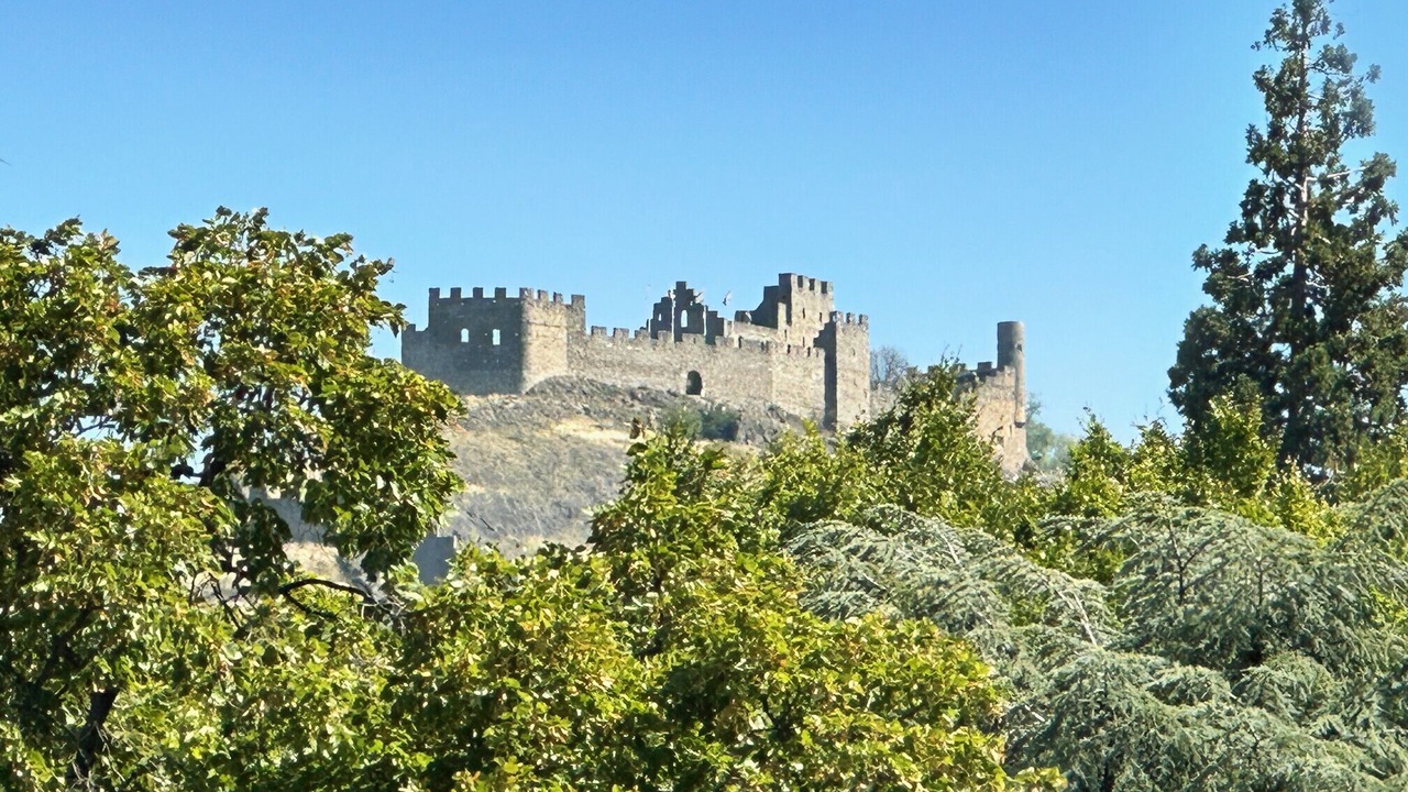 Photo of Others in Sion