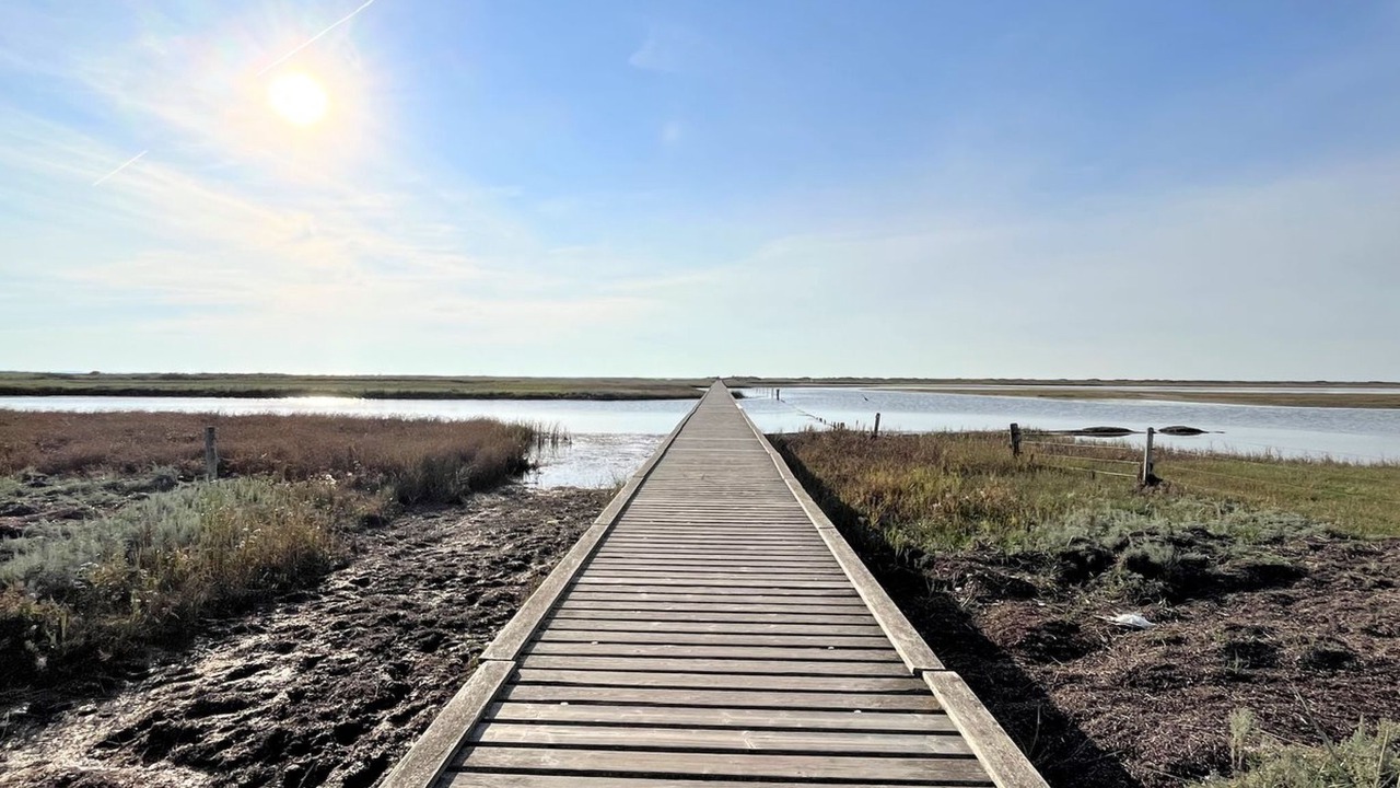 Photo of Outdoor in Hojby
