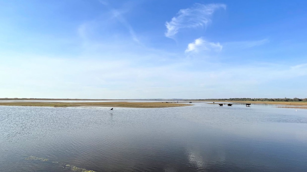 Photo of Outdoor in Hojby