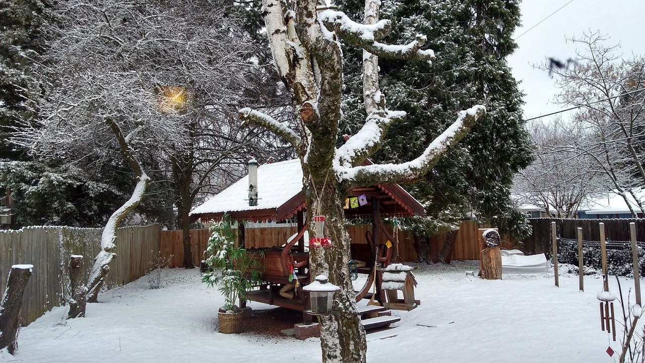 Photo of Outdoor in Talent