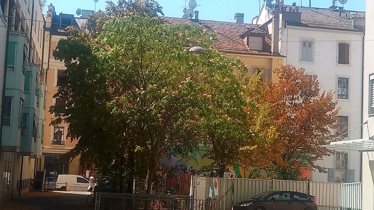 Photo of Others in Paquis-Temple