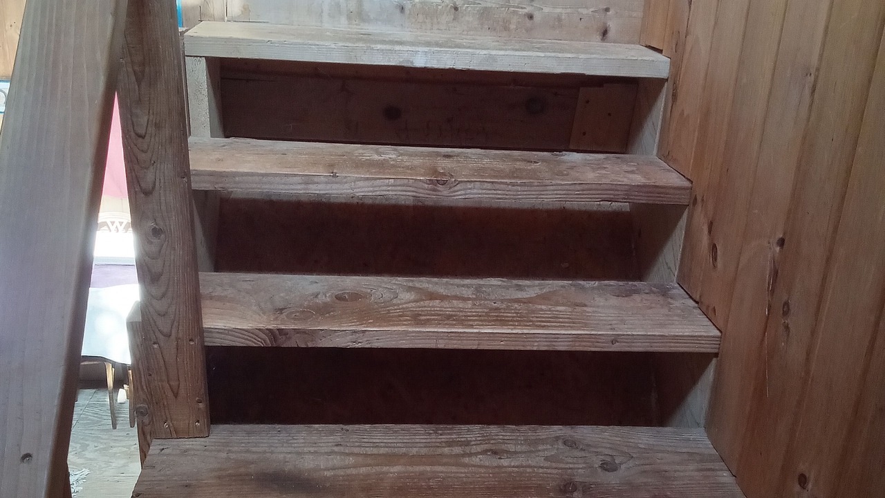 Photo of Others in Ithaca