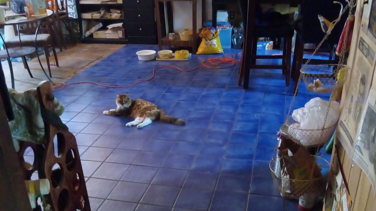 Photo of Others in Ithaca