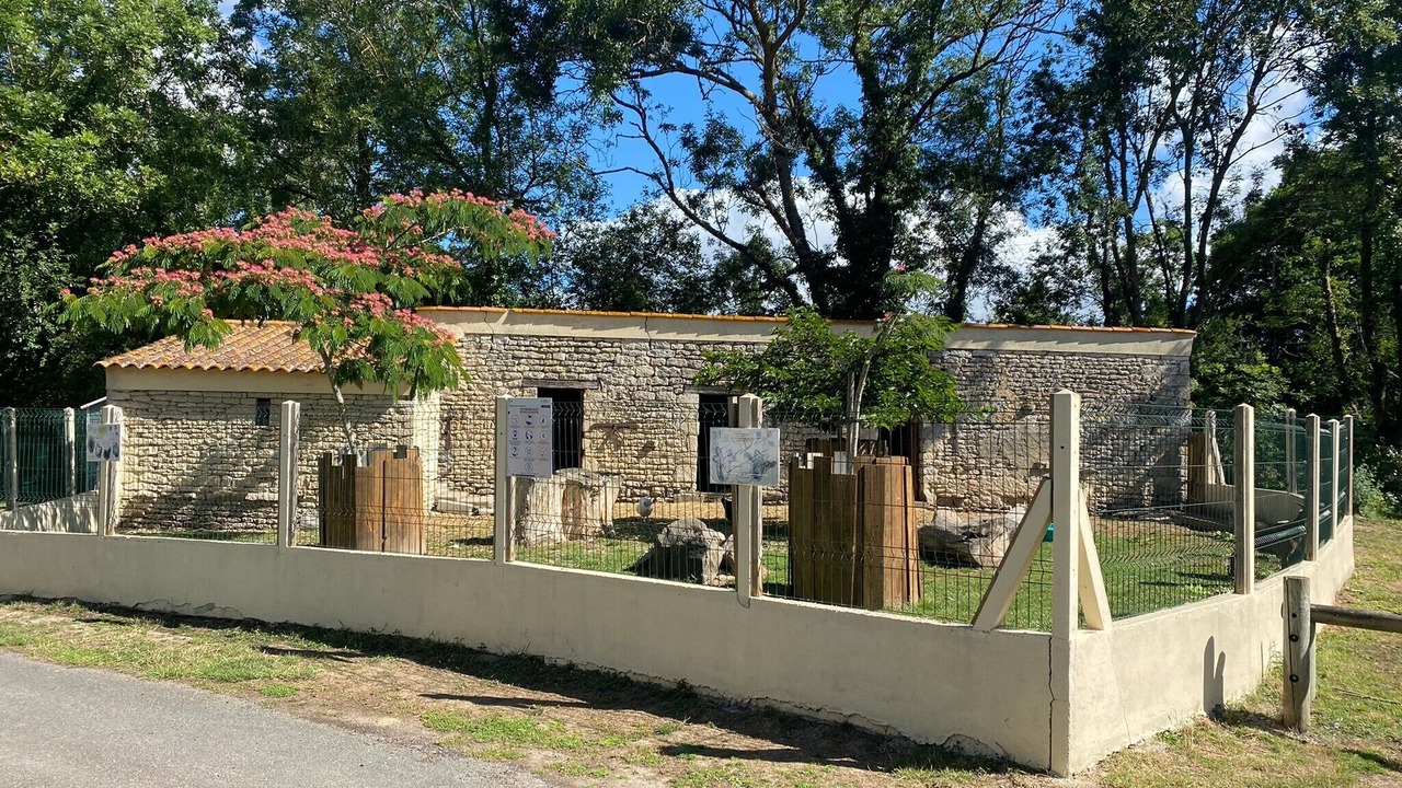 Photo of Outdoor in Angles