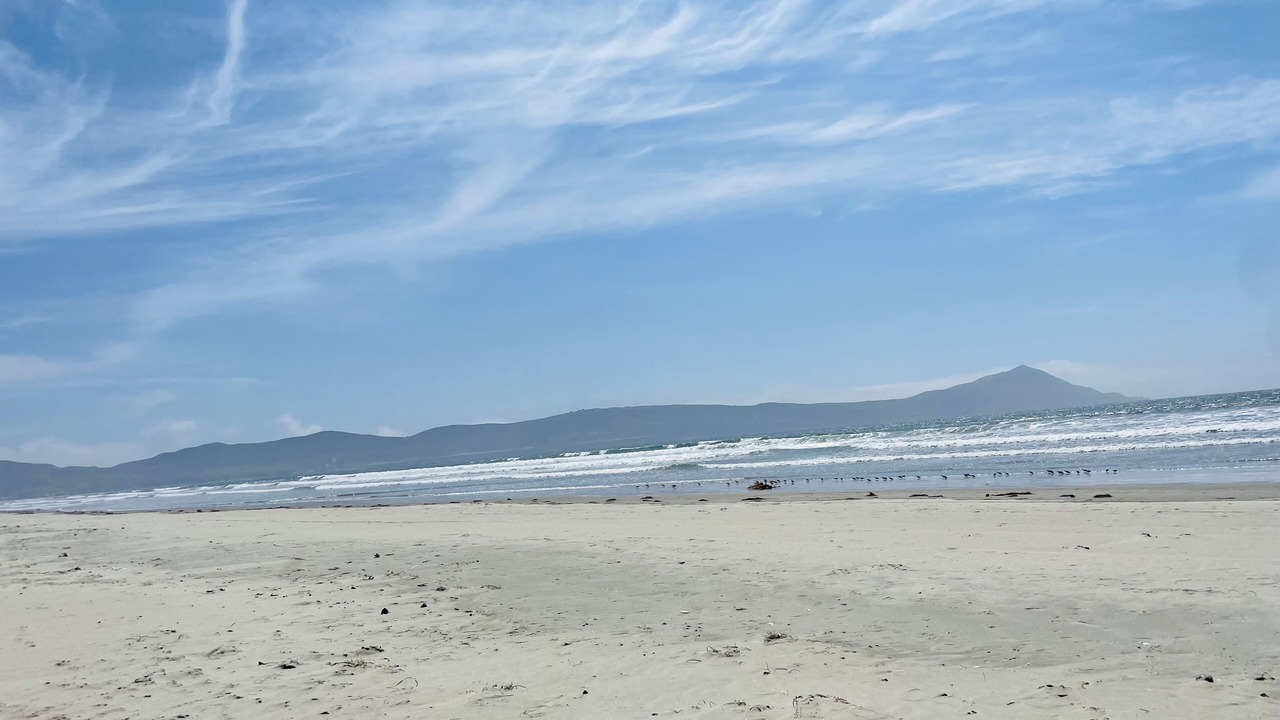 Photo of Others in Lengueta Arenosa