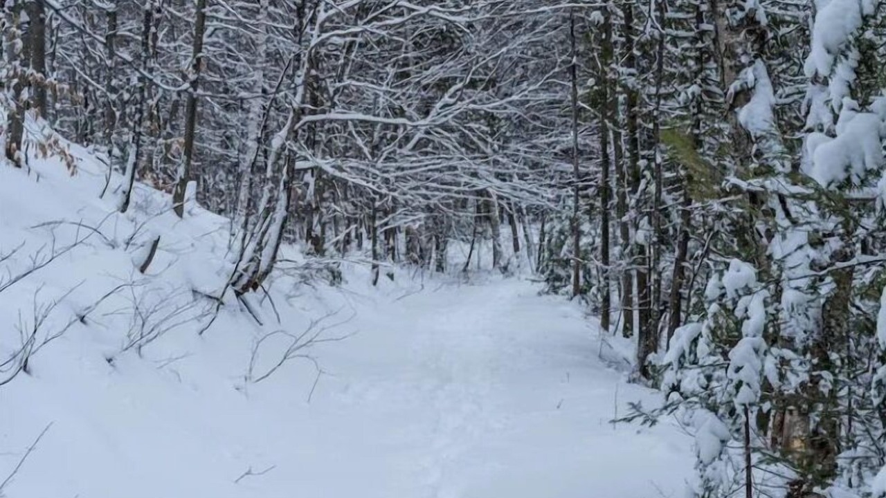 Photo of Outdoor in Grenville-sur-la-Rouge