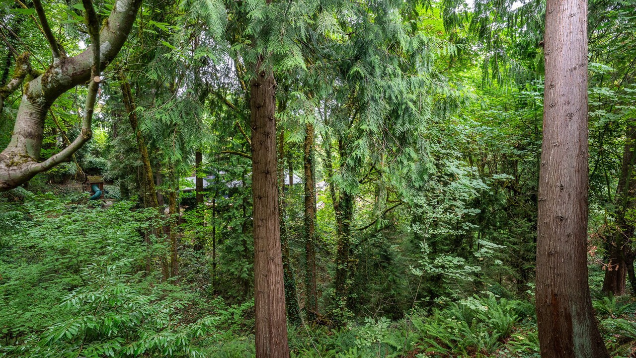 Photo of Outdoor in Portland Heights