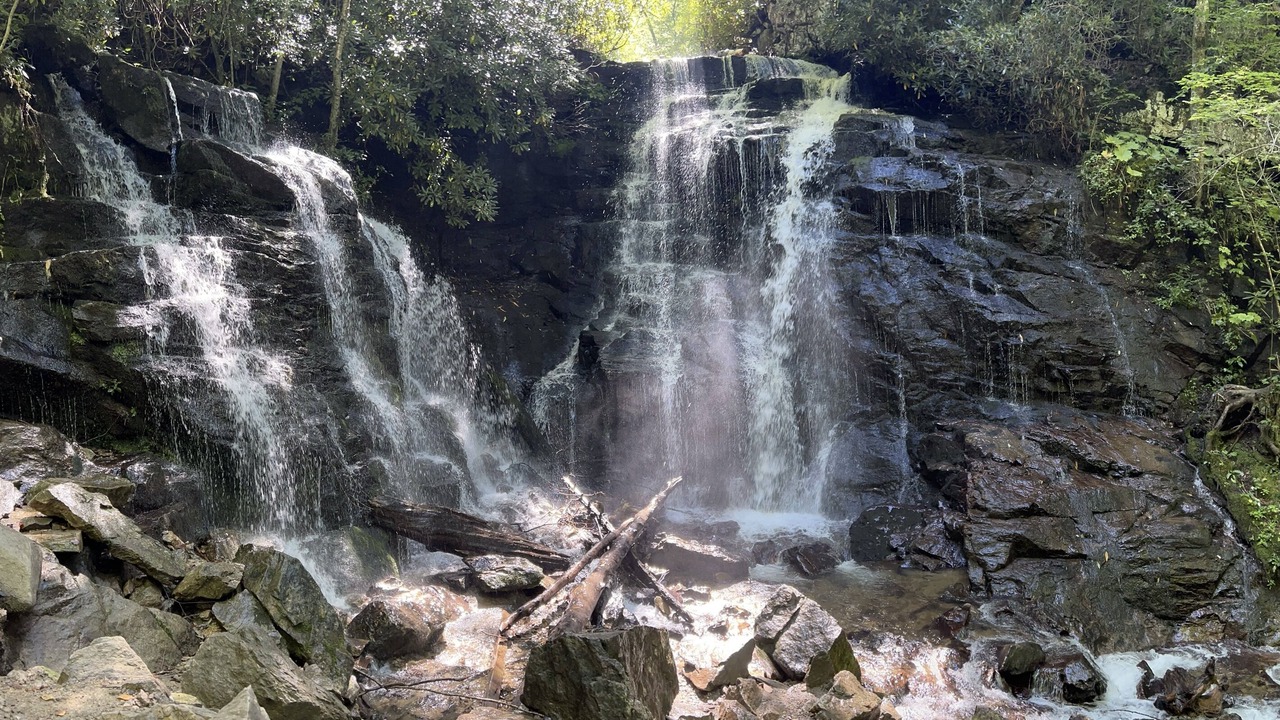 Photo of Others in Maggie Valley