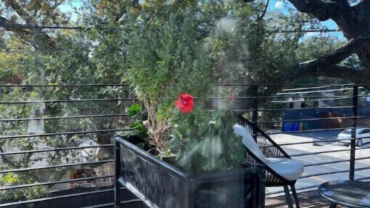 Photo of Patio Balcony in South Congress