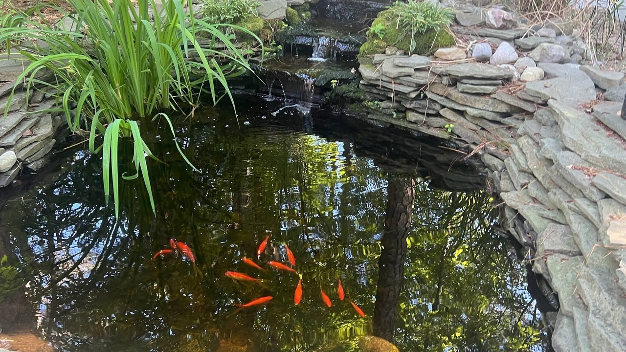 Photo of Outdoor in Ocean Pines