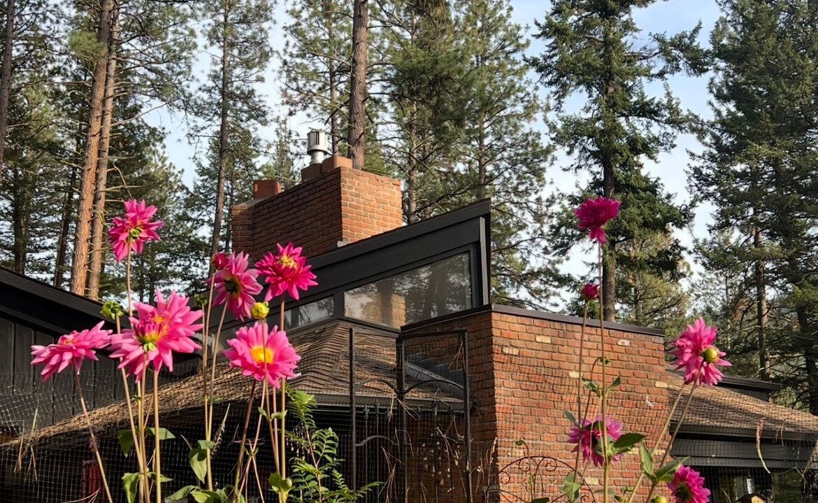 Photo of Outdoor in Missoula