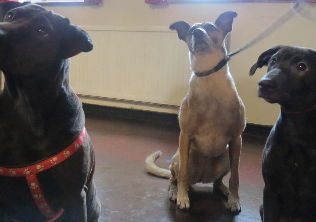 Photo of Others in Malvern