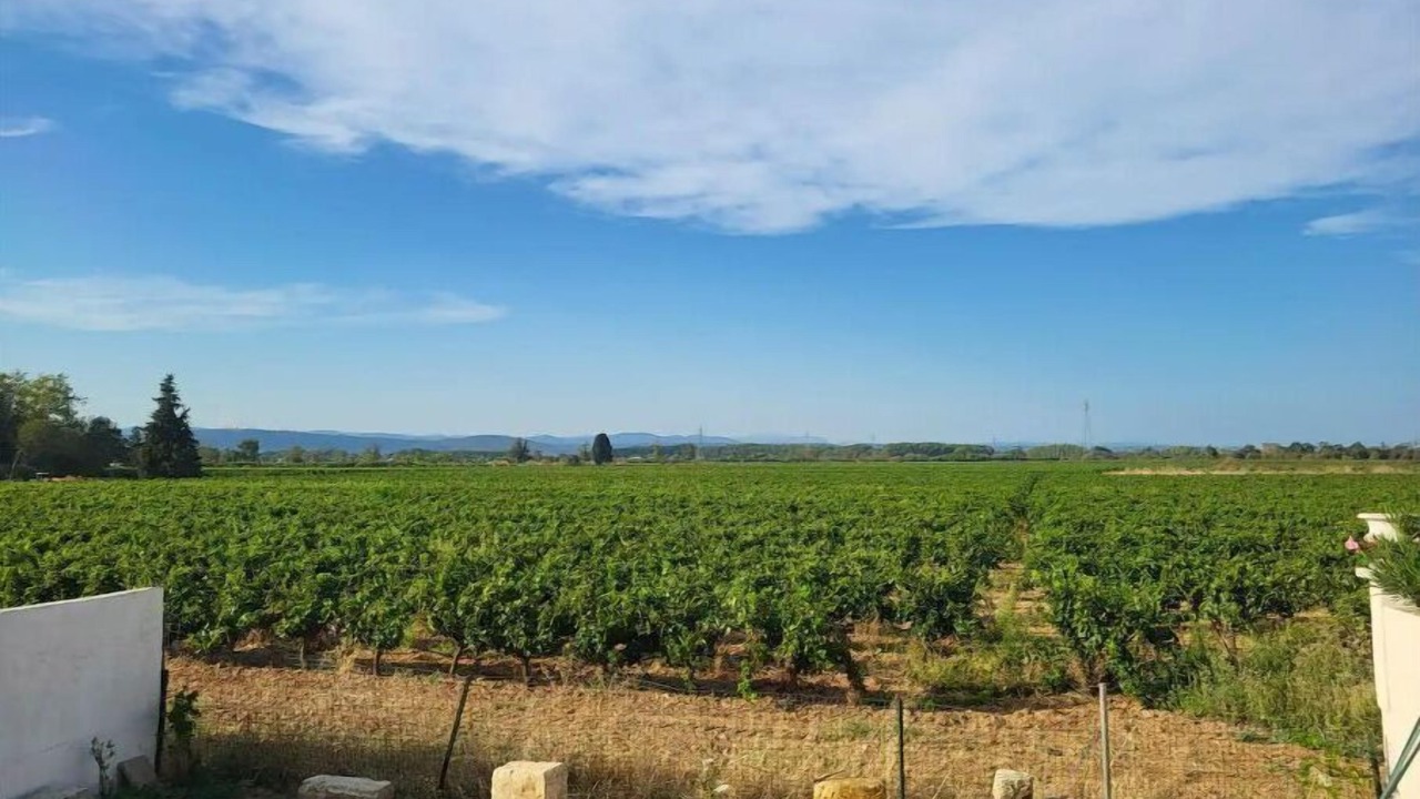 Photo of Outdoor in Le Somail