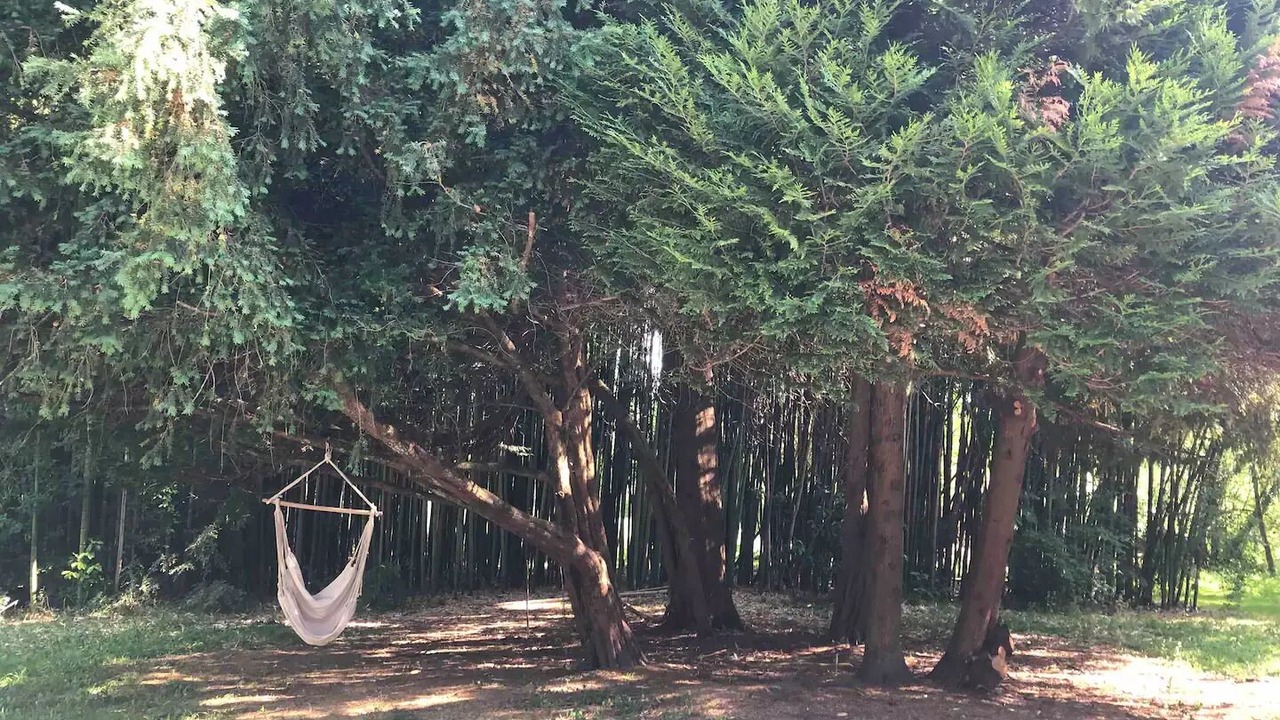 Photo of Outdoor in Chindrieux