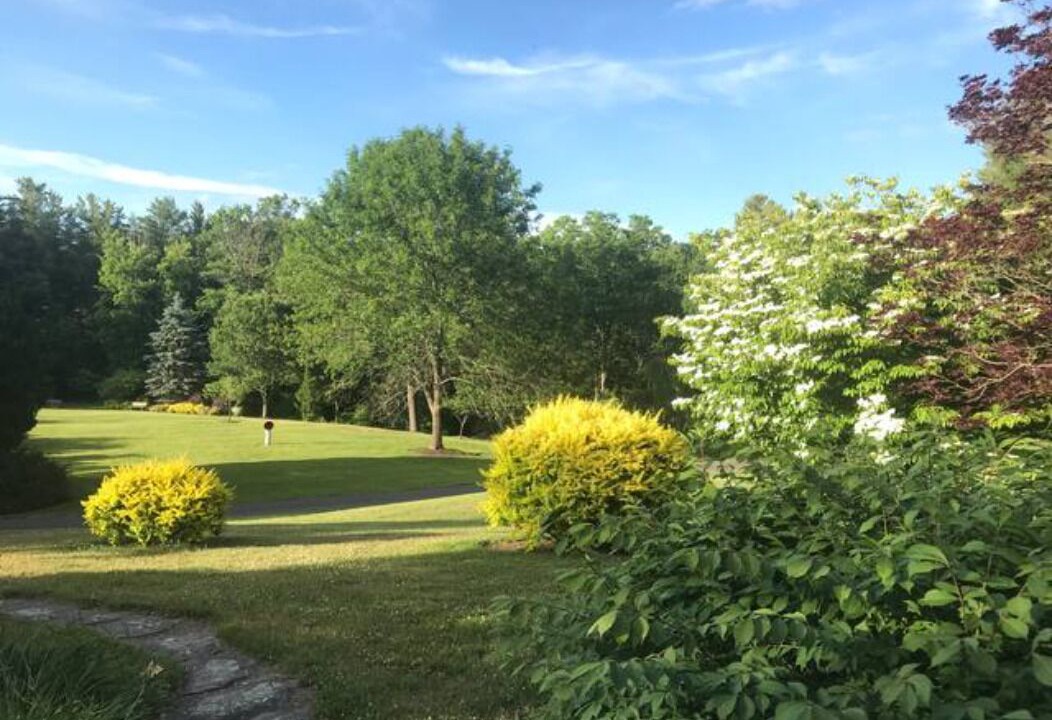 Photo of Outdoor in Chatham