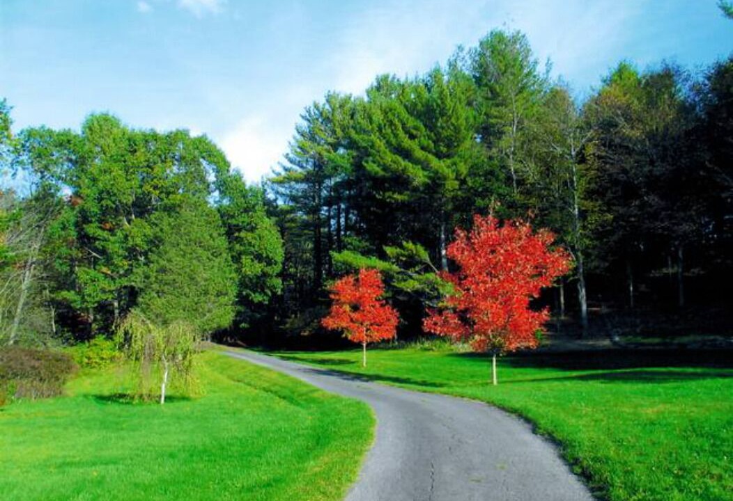 Photo of Outdoor in Chatham