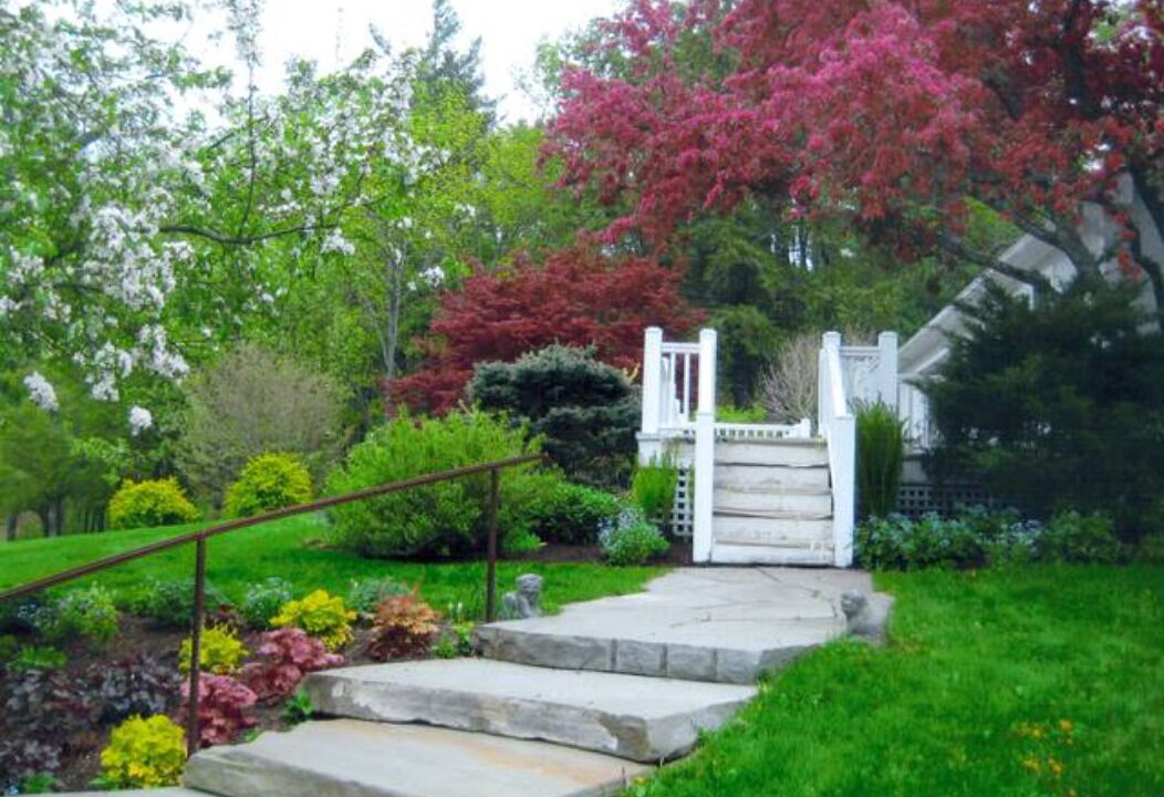Photo of Outdoor in Chatham