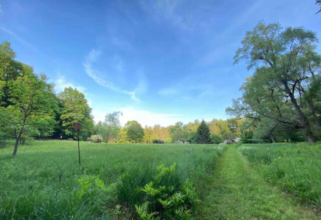 Photo of Outdoor in Chatham