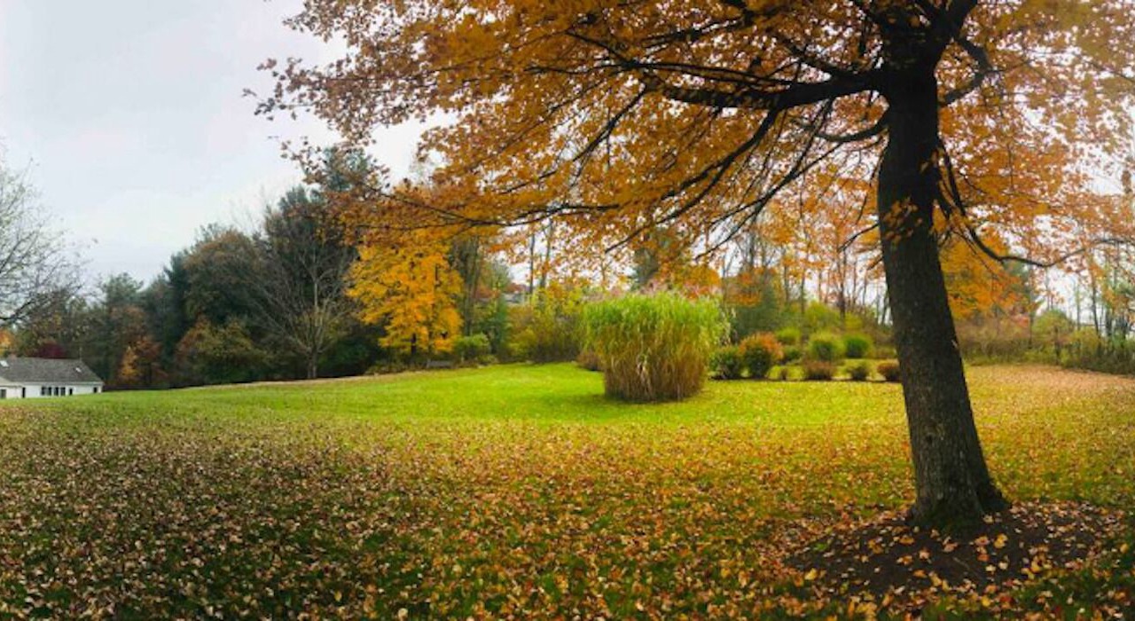 Photo of Outdoor in Chatham