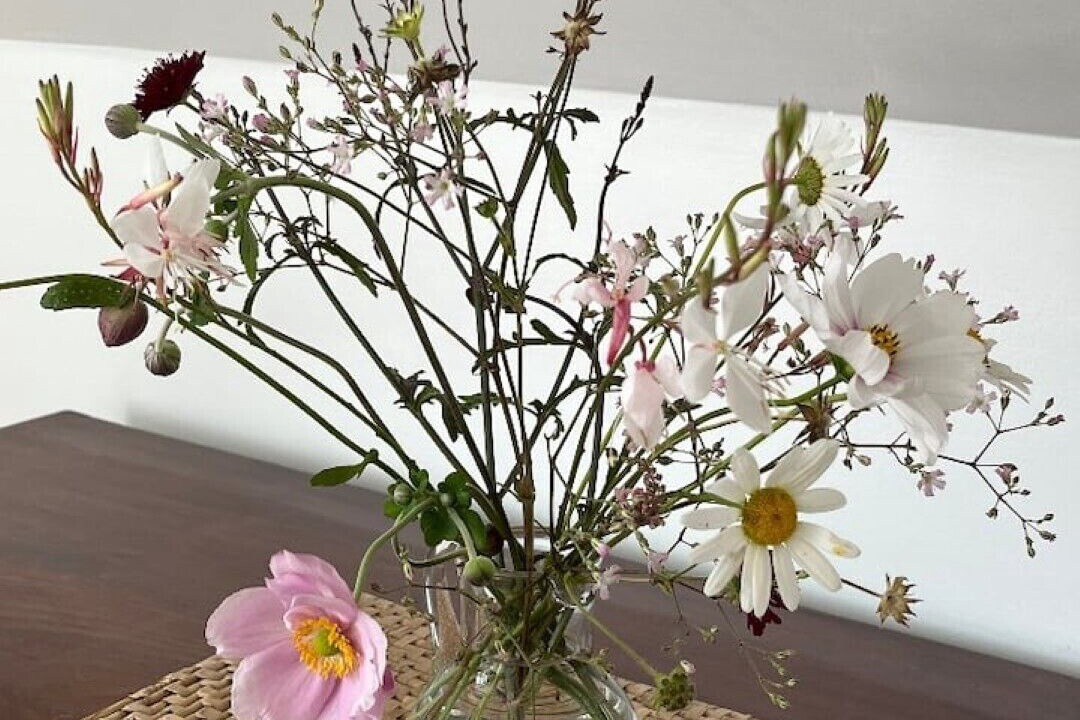 Photo of Others in Harleston