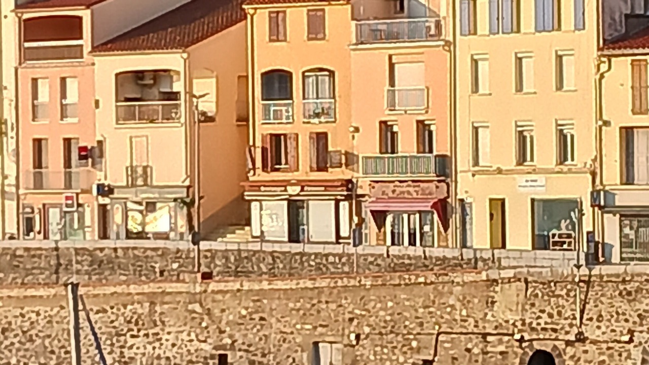 Photo of Others in Port-Vendres