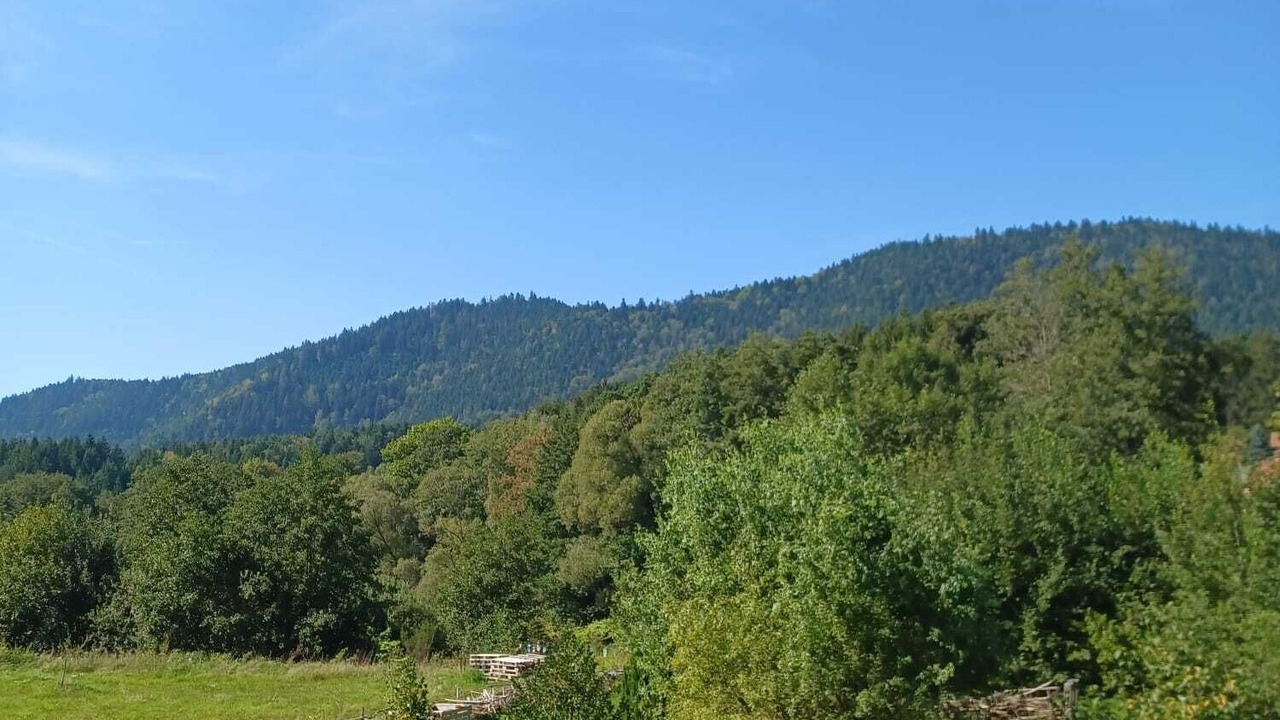 Photo of Outdoor in Moussey
