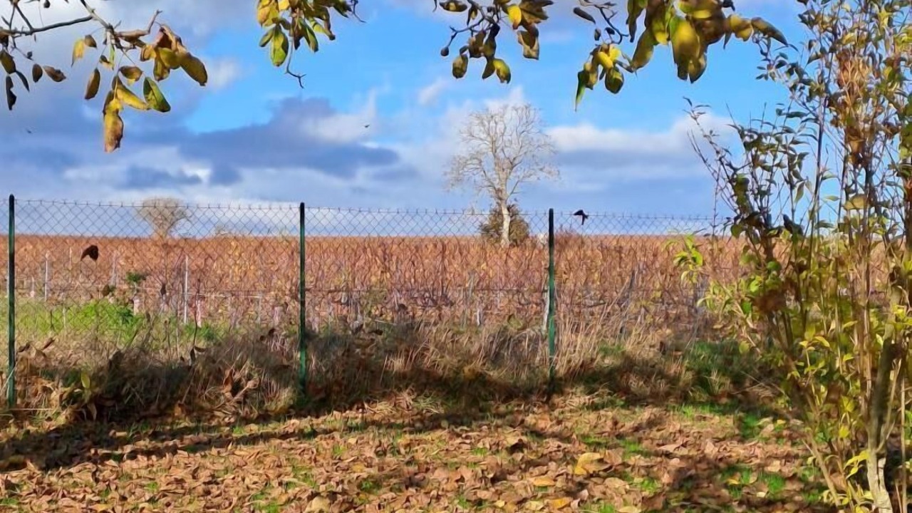 Photo of Outdoor in Voipreux