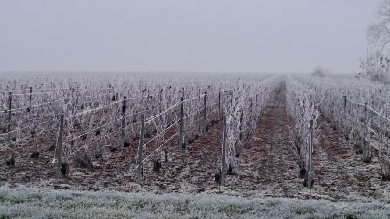 Photo of Others in Voipreux