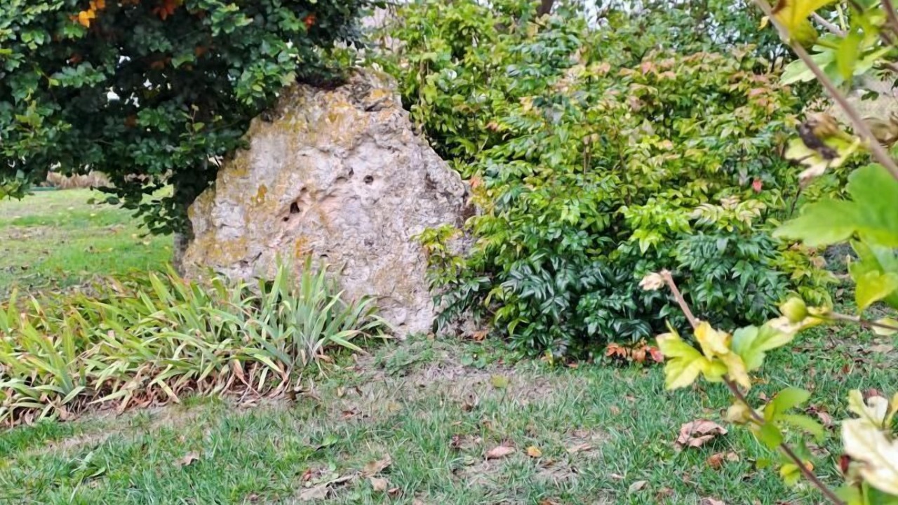 Photo of Outdoor in Voipreux