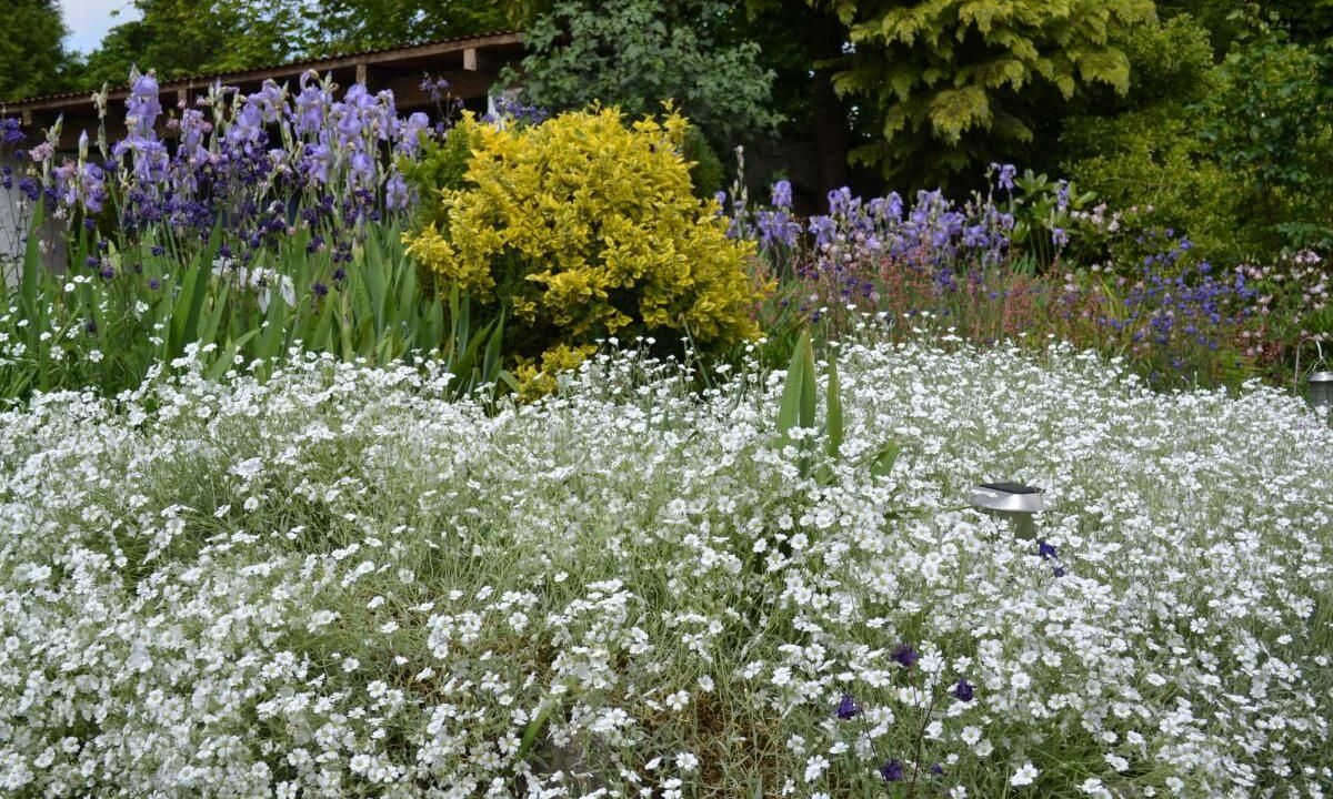 Photo of Outdoor in Bouy