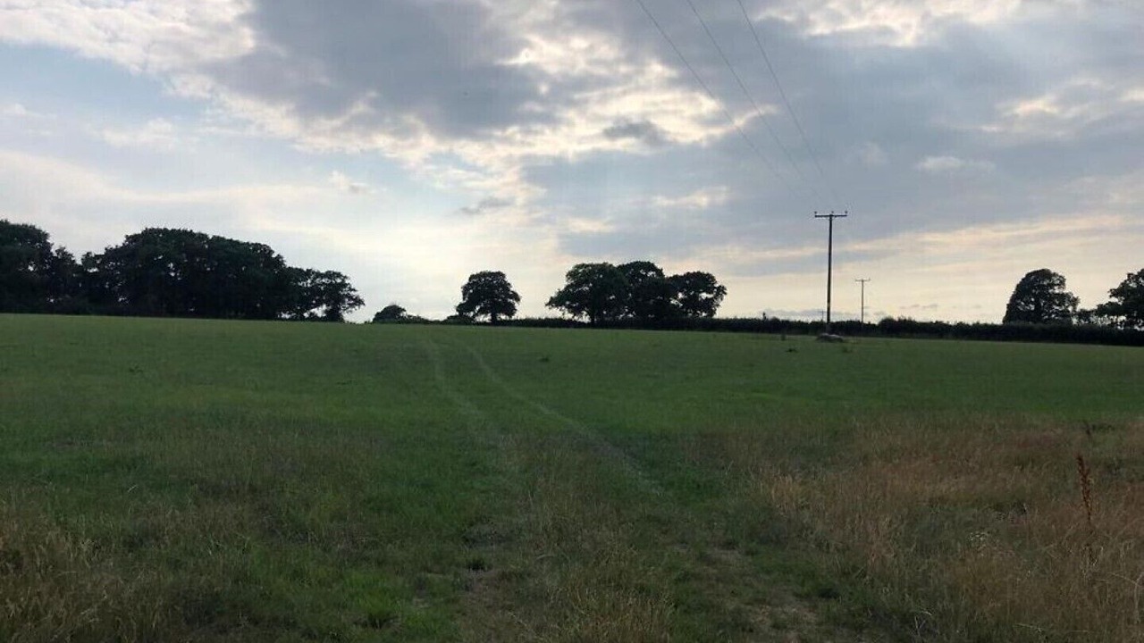 Photo of Others in Bicton