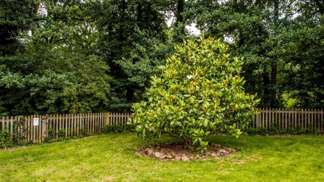 Photo of Outdoor in Bicton