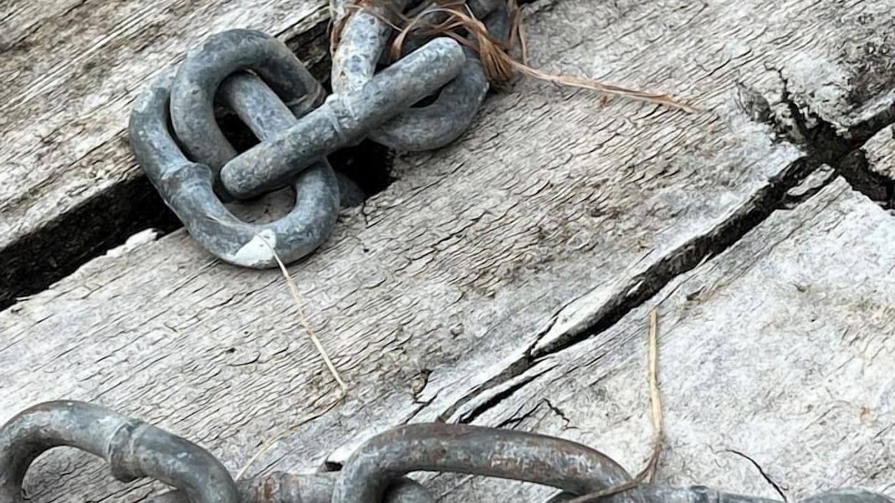 Photo of Others in Cogra Bay