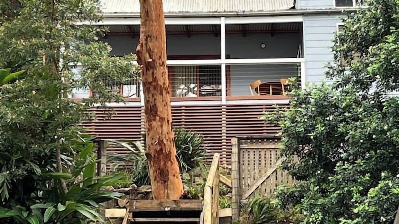 Photo of Outdoor in Cogra Bay