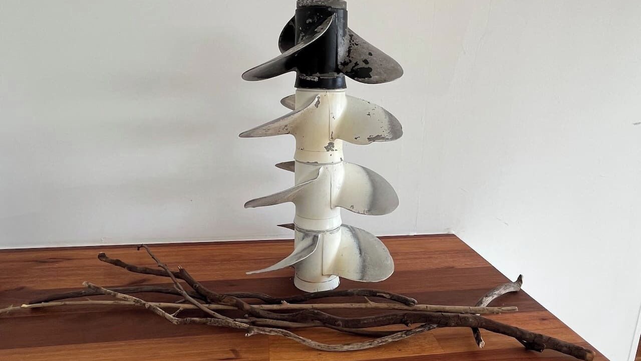 Photo of Others in Cogra Bay