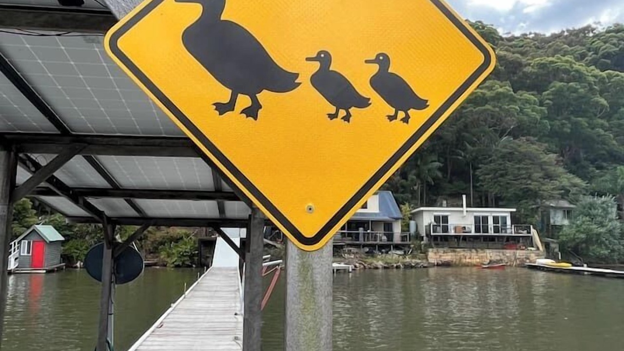 Photo of Others in Cogra Bay