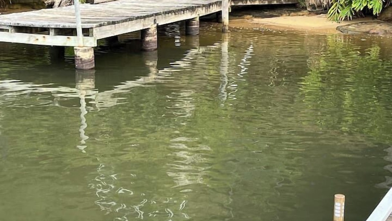 Photo of Others in Cogra Bay