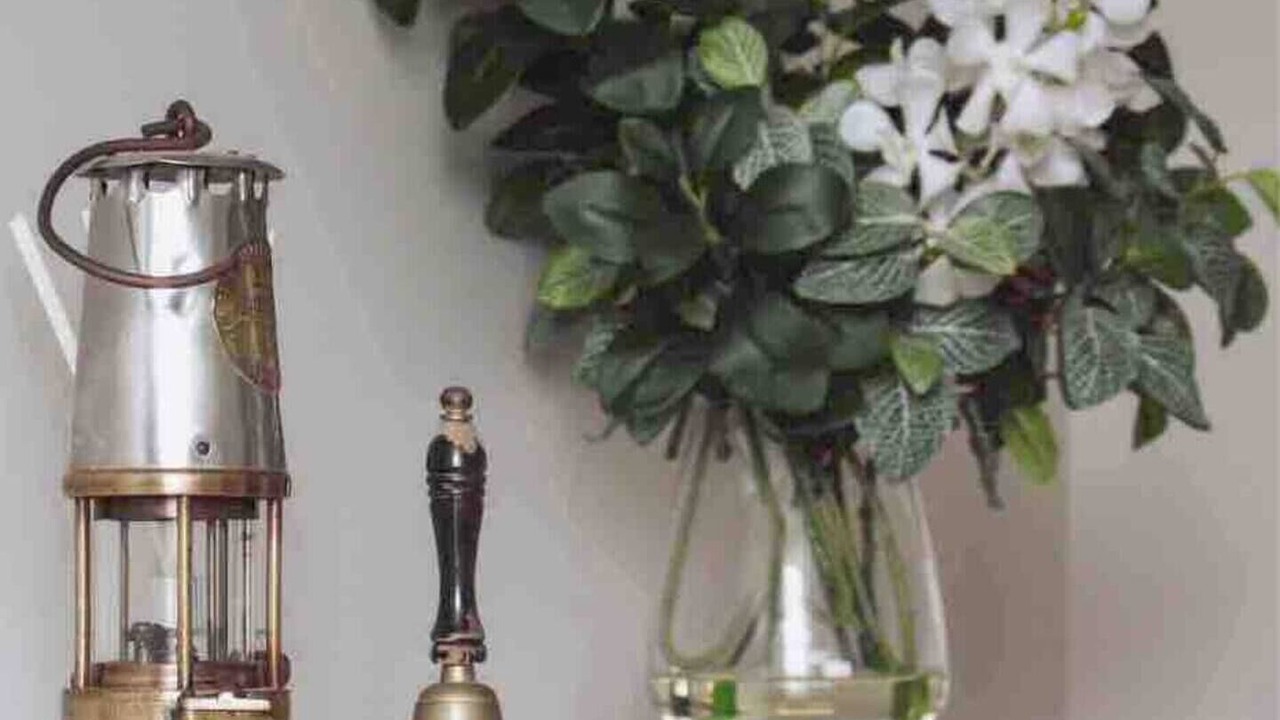 Photo of Others in Cessnock