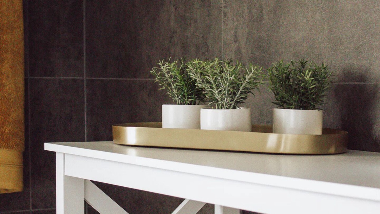 Photo of Others in Cessnock