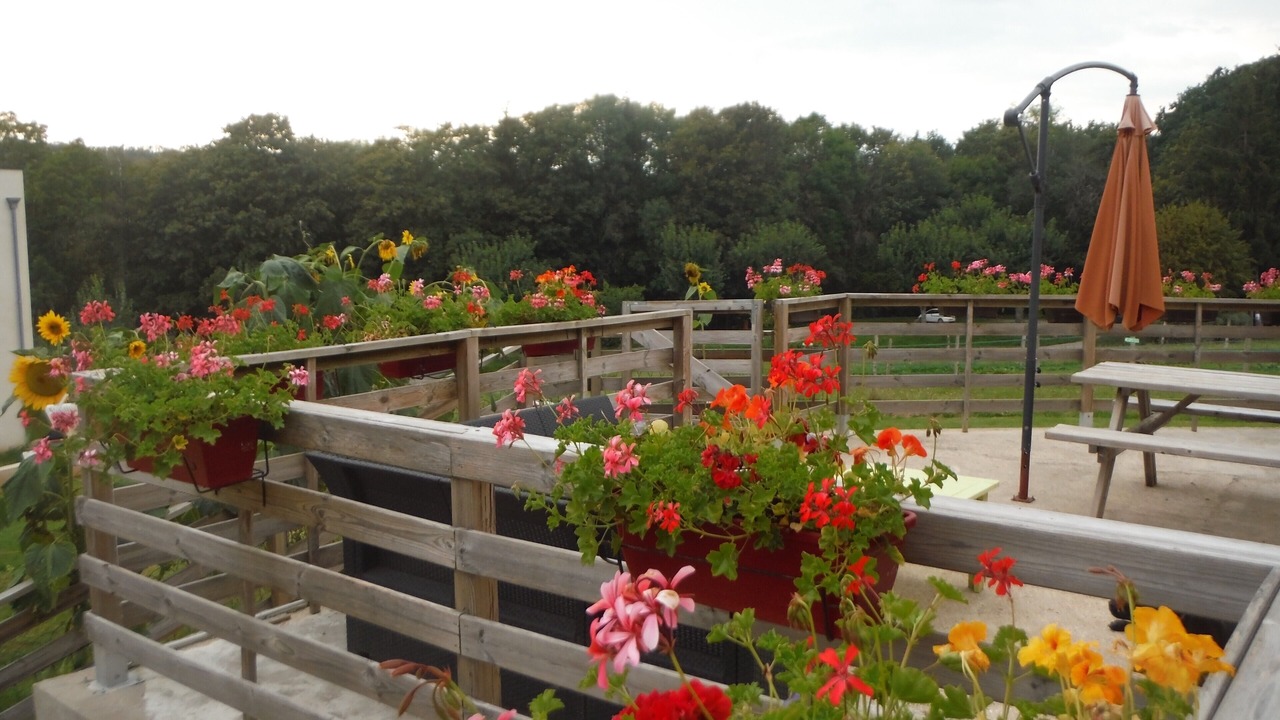 Photo of Patio Balcony in Givonne