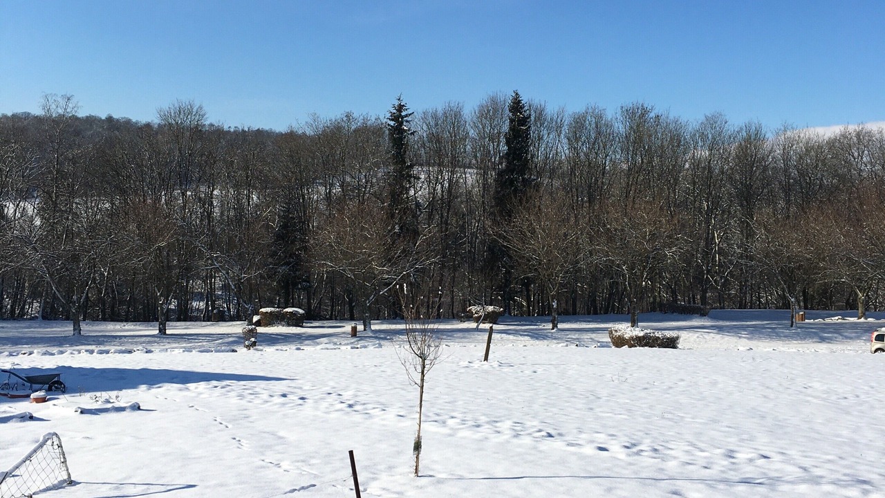 Photo of Others in Givonne