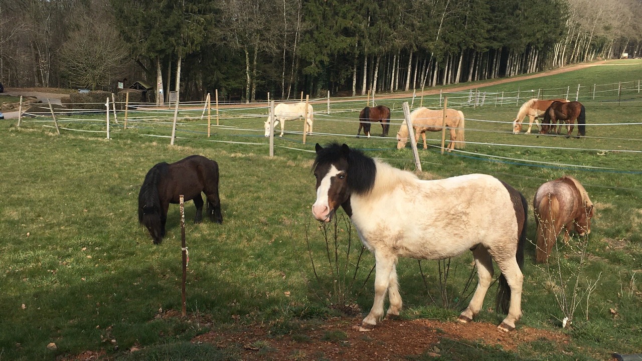 Photo of Others in Givonne
