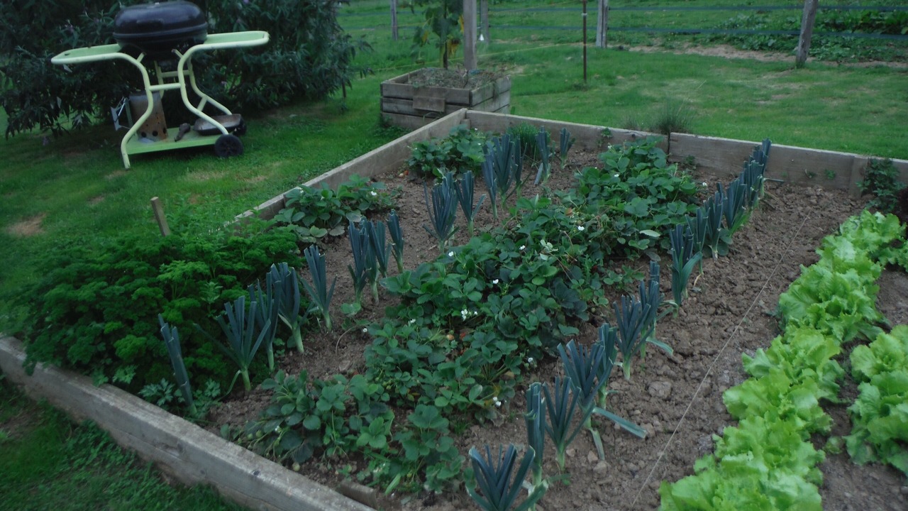 Photo of Outdoor in Givonne