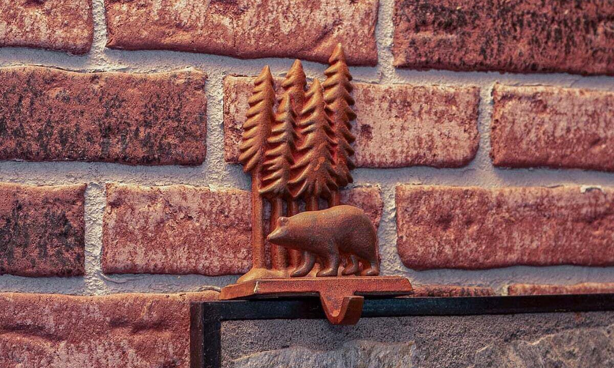 Photo of Outdoor in Packwood