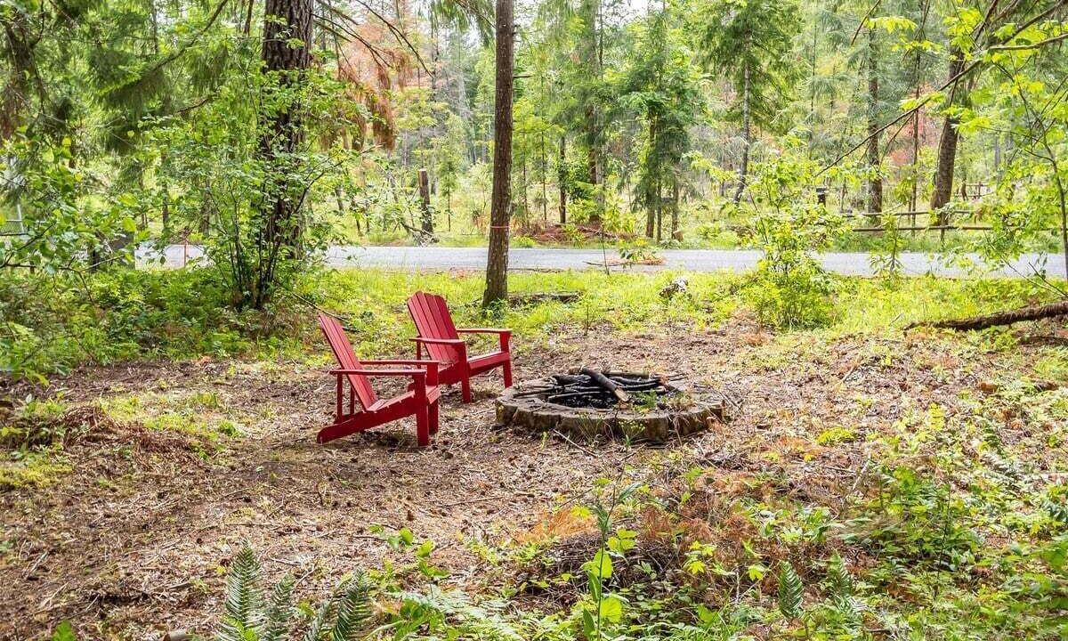 Photo of Outdoor in Packwood